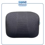 پشتی طبی خودرویی باراد LS4