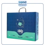 پشتی طبی خودرویی باراد LS4