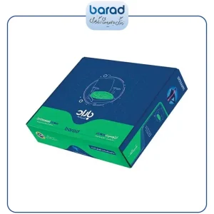 به نشین اُرتوسیت ارگونومیک باراد SC4