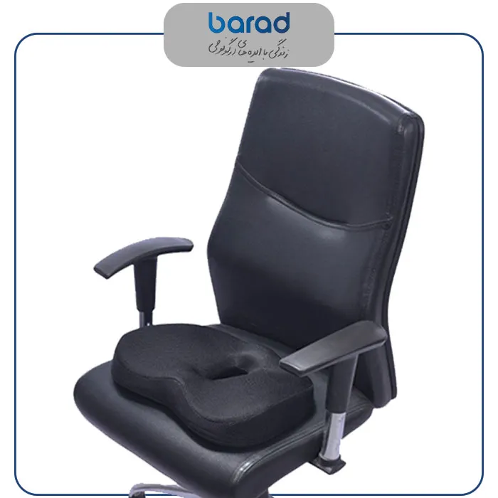 به نشین تن فیت باراد SC6